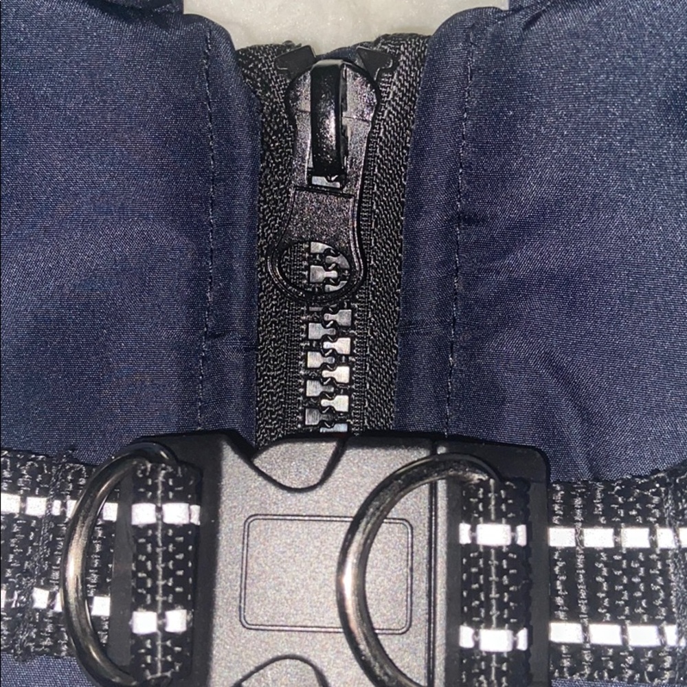 Dog navy jacket - Picture 8 of 8